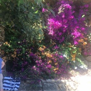 Meet your Posher, Kierra